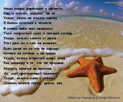 Стихи про дельфинов