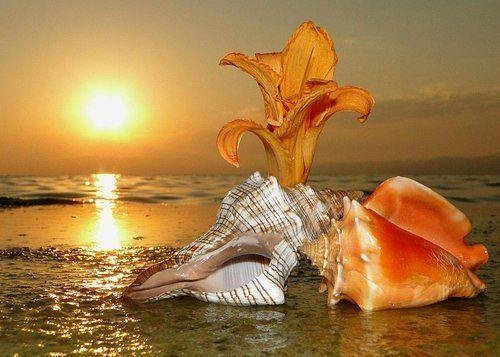 Добрый вечер море