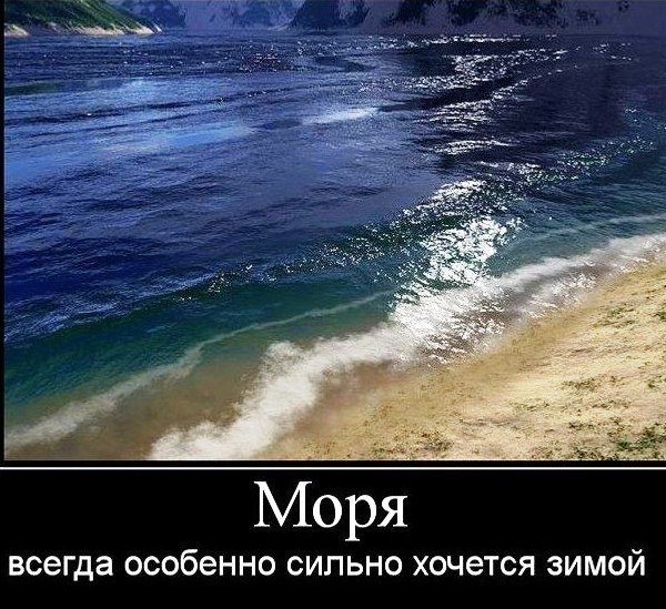 Мечты о море юмор