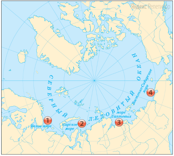 Картинки белое море на глобусе (61 фото)