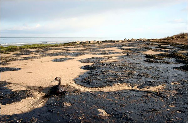 Нефть в Керченском проливе