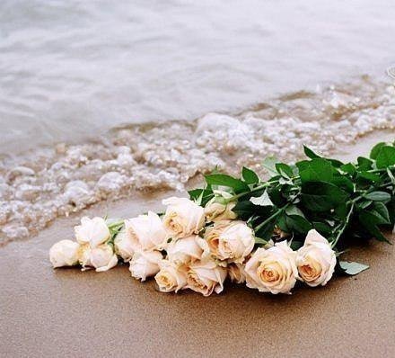 Белые розы на фоне моря
