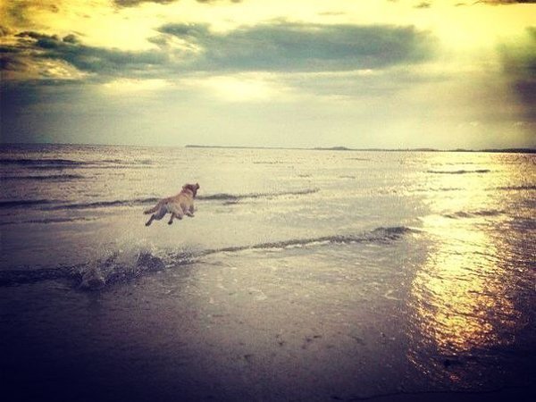 Отпуск чемодан