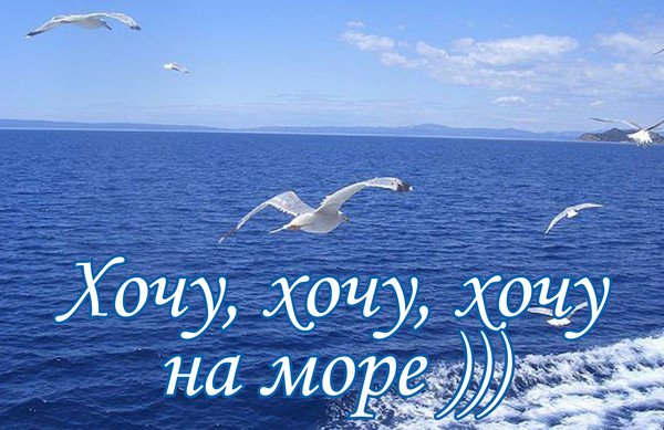 Море праздник