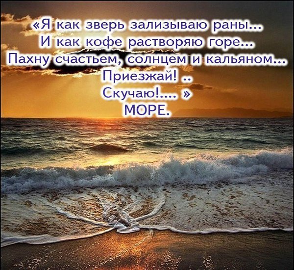 Я как зверь зализываю раны и как кофе растворяю горе