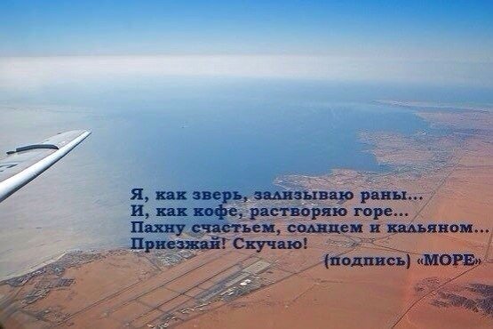 Подпись море