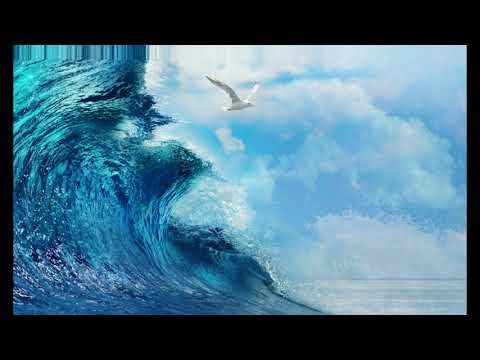 Девушка на берегу моря птицы