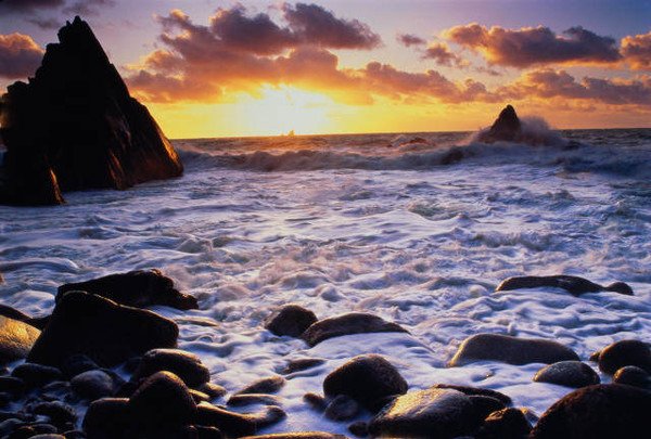 Цветы море солнце