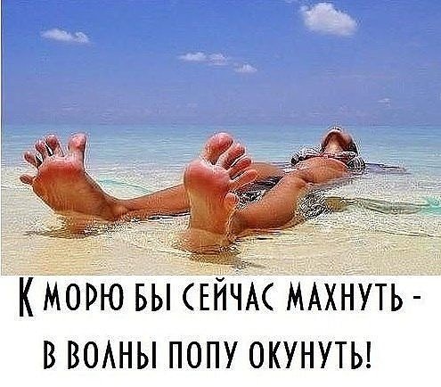 На море прикольные