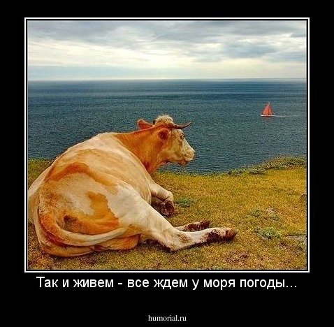 Ждите у моря погоды