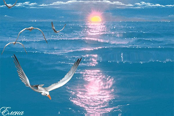 Доброе утро Чайки над морем