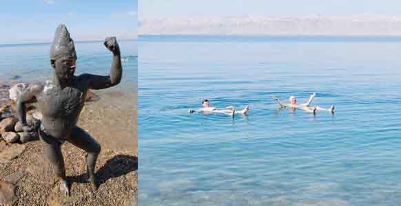 Фауна мертвого моря