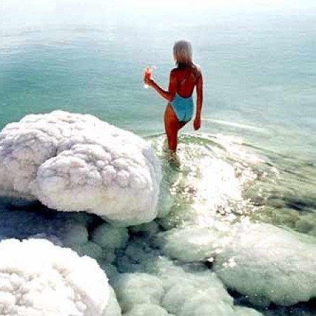 Обитатели мертвого моря