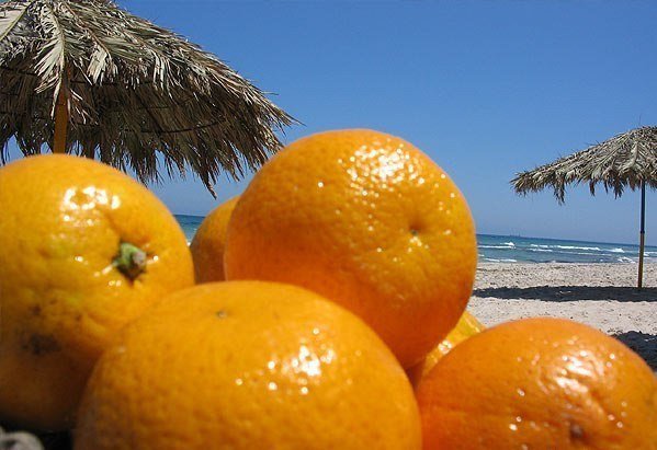 Апельсины и море