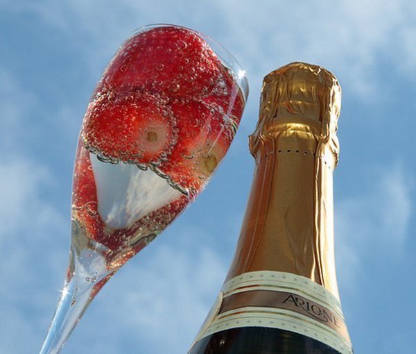 Пикник на берегу моря