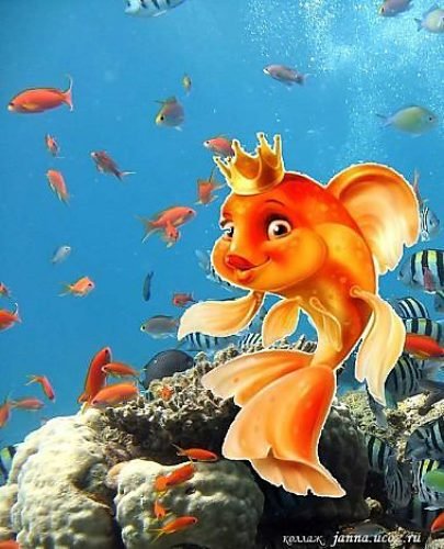 Золотая рыбка исполнение желаний