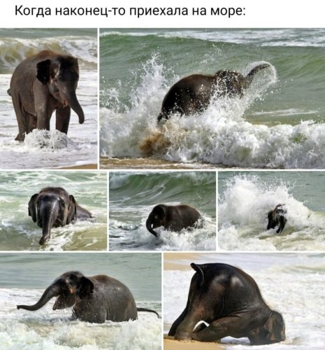 Это я когда приеду на море