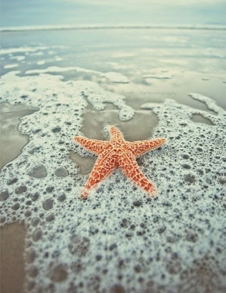 Море радость