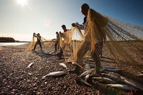 Рыбак с неводом