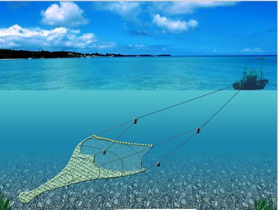 Ставной невод в море