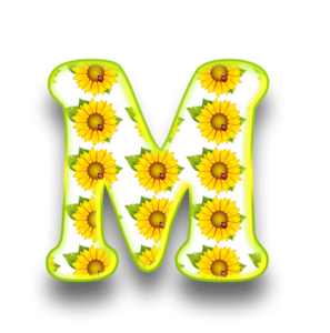 Слова солнца