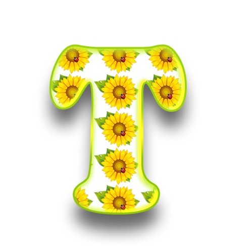 Рамка в виде солнца