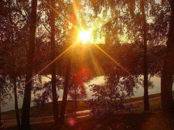 Рич Дольче 0.33