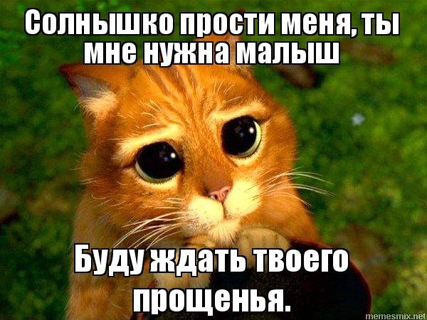 Люба прости меня