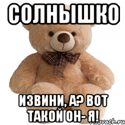 Мишка извини