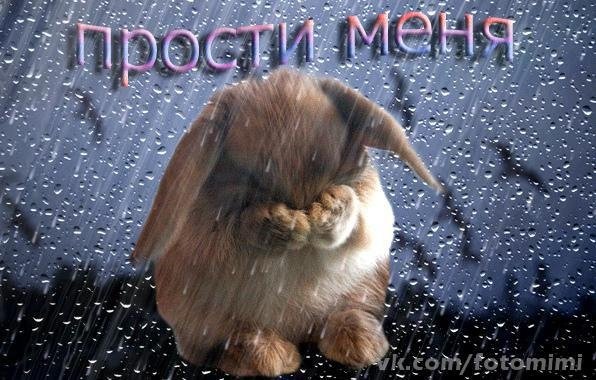 Стихи про обиду