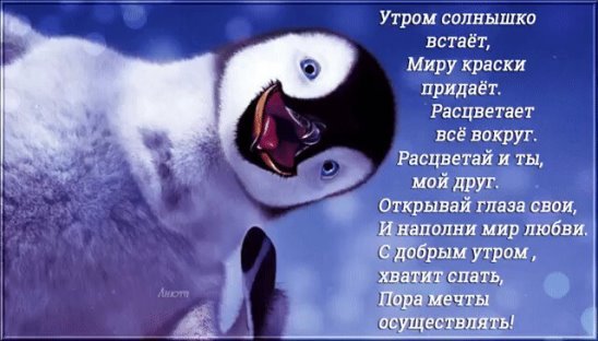 Солнце всегда восходит