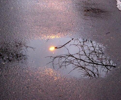 Отражение человека в луже