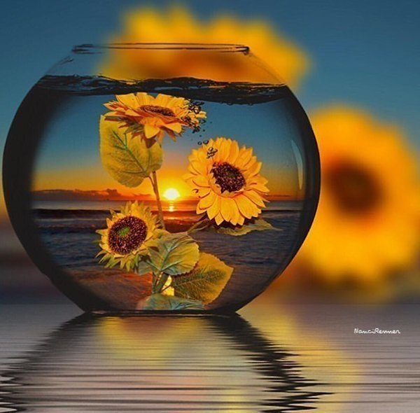 Доброго Тихого вечера