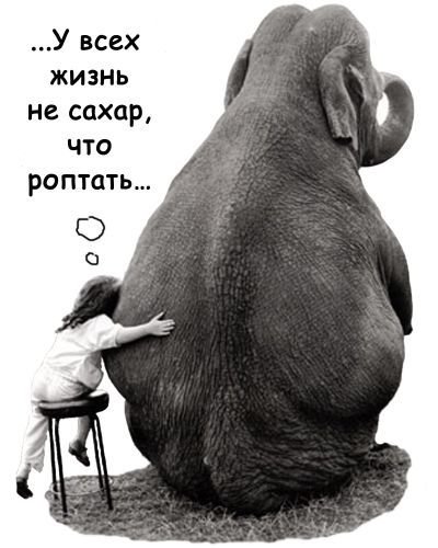 Куда катится этот мир