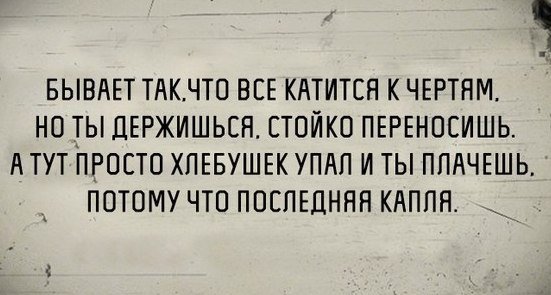 Куда катится мир картинки смешные