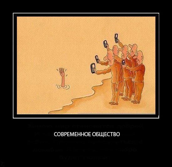 Лисы на бревне картина