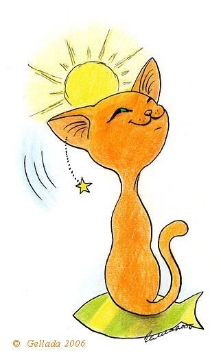 Кошка лежит на солнце