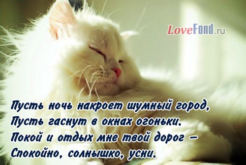 Стихи спокойной ночи