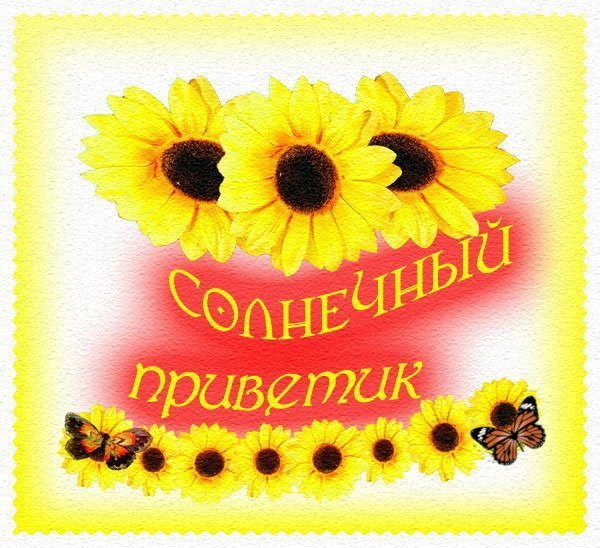 Открытки с добрым утром солнышко