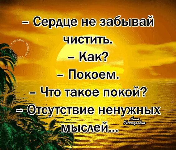 В отсутствии солнца