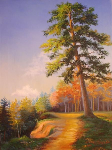 Одинокое дерево на рассвете