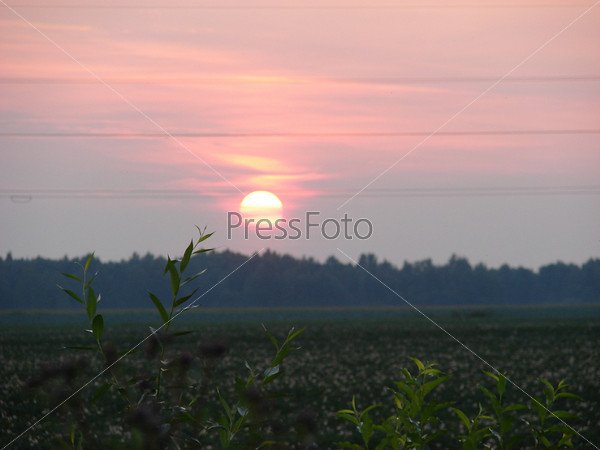 Малиновое без лучей солнце село огромным кругом