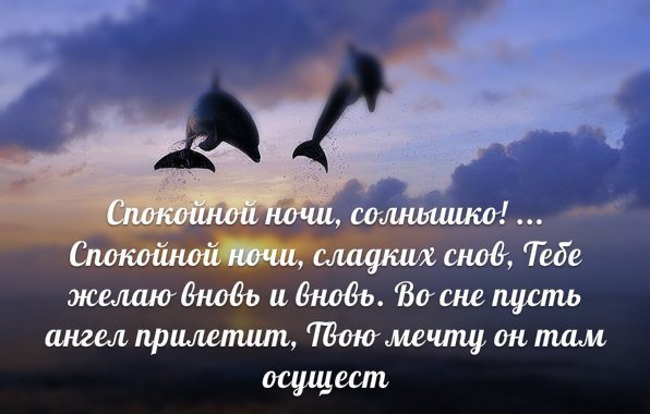 Котенок сладко спит