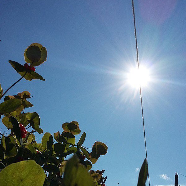 Солнышко на веревке