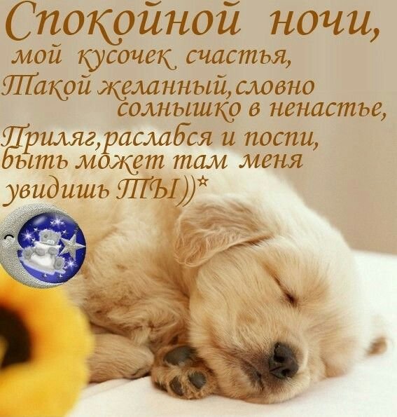 Спокойной ночи стихи девушке