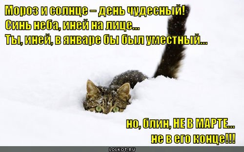 Мороз и солнце день чудесный прикольные