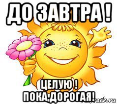 Спокойной ночи завтра увидимся