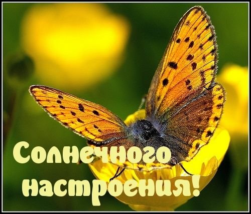 Солнечного настроения