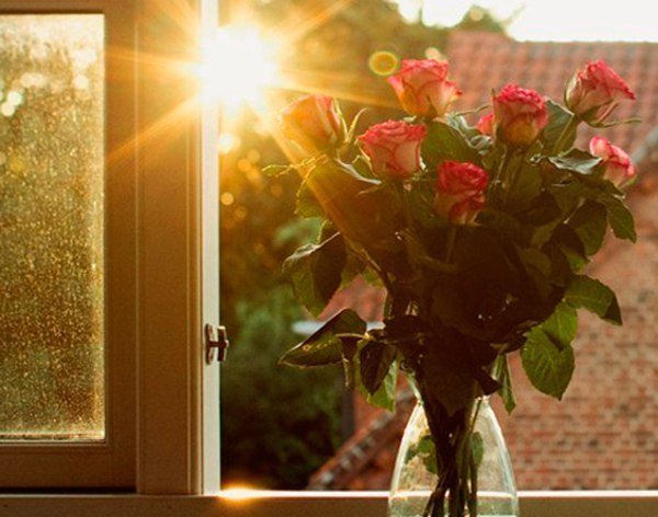 Солнце стучится в окно