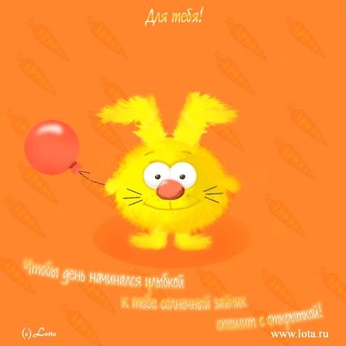 Зайка и солнышко